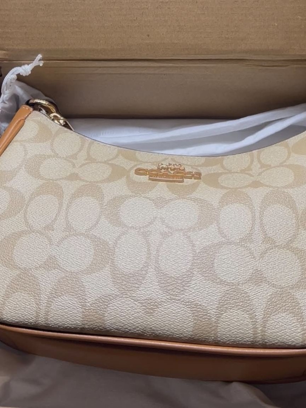 Coach Teri Bag